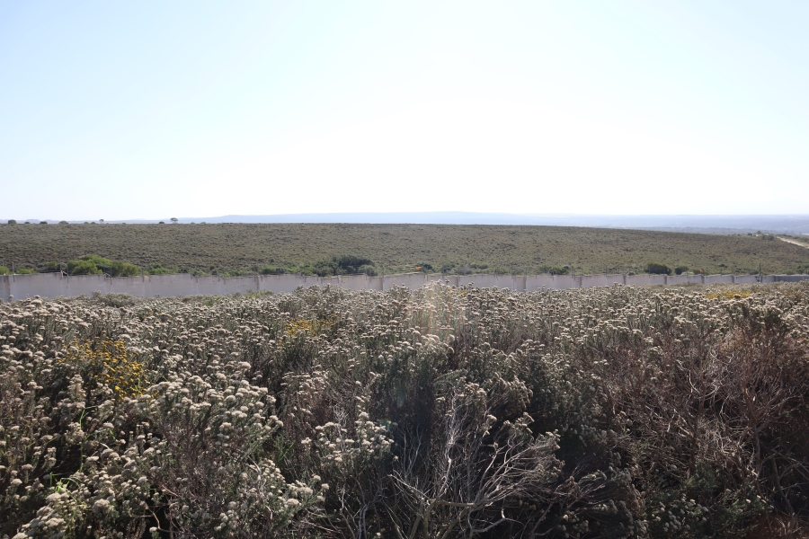 0 Bedroom Property for Sale in Blue Waters Estate Eastern Cape